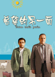 希望的另一面(全集)