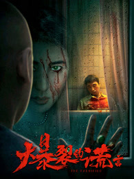 爆裂的谎言(全集)