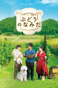 葡萄的眼泪(全集)