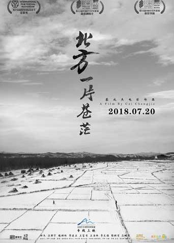 北方一片苍茫(全集)