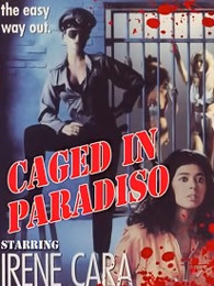 监狱风暴(全集)