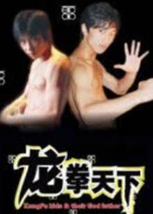 龙拳天下(全集)