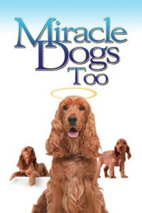 天降神犬2(全集)