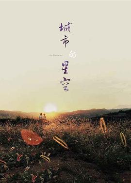 城市的星空(全集)