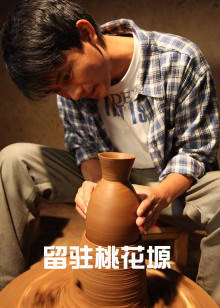 留驻桃花塬(全集)