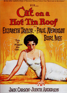 热铁皮屋顶上的猫(全集)