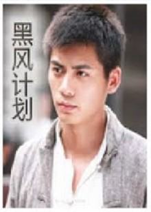 不良英雄(全集)