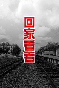 回家看看(全集)