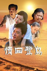 情回鹭岛(全集)