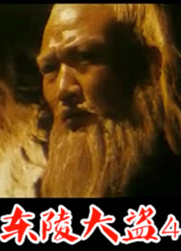 东陵大盗（四）(全集)