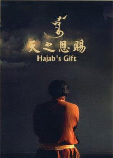 天之恩赐(全集)