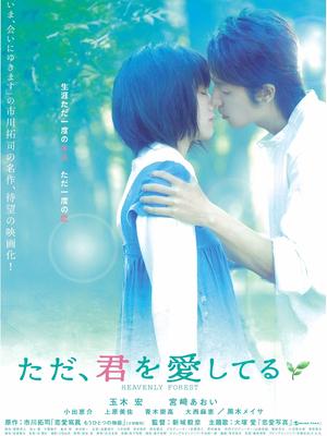 只是爱着你(全集)