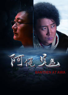 阿佤兄弟(全集)