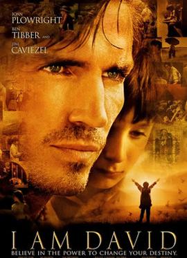 我是大卫(全集)