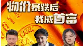 物价暴跌后我成了首富(全集)